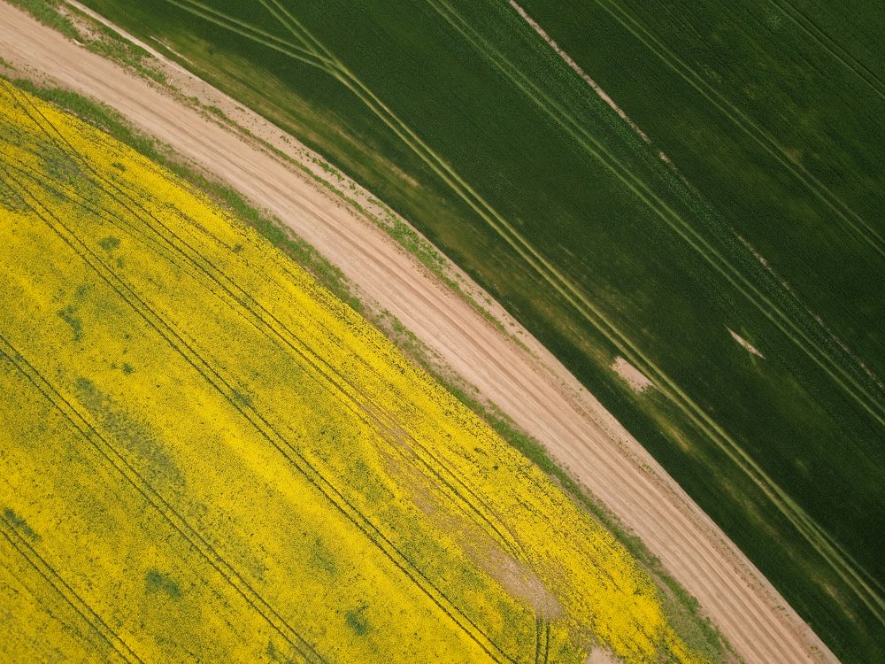 Photograph by Юлия Абрамова