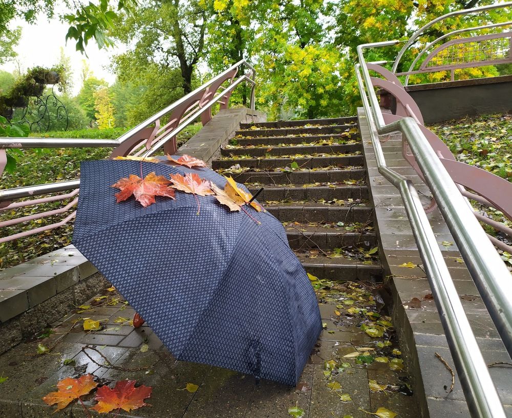 Photograph by Людмила Муравьева