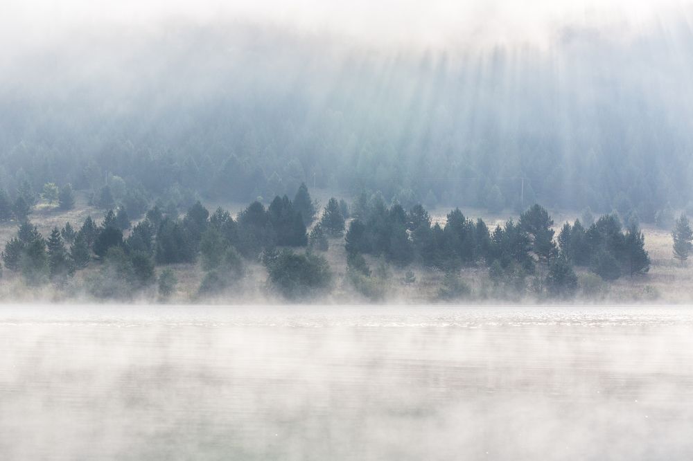 Photograph by Фирдаус Карипова