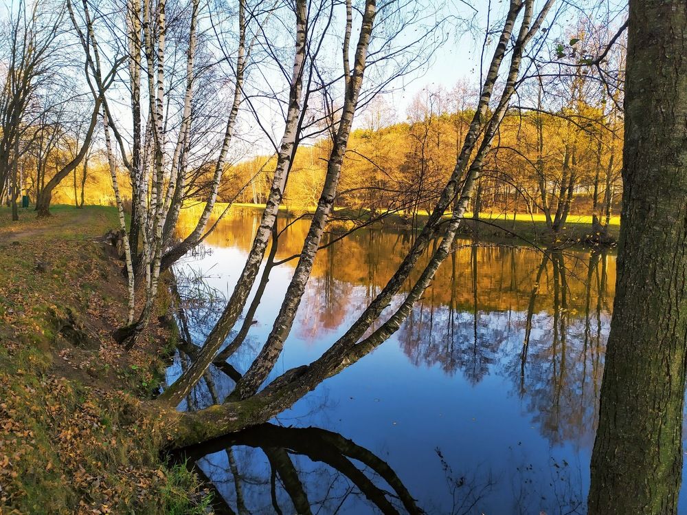 Отражение в реке.