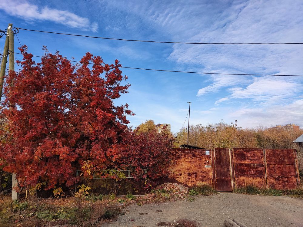 Photograph by Алексей и Юлия Дарьины