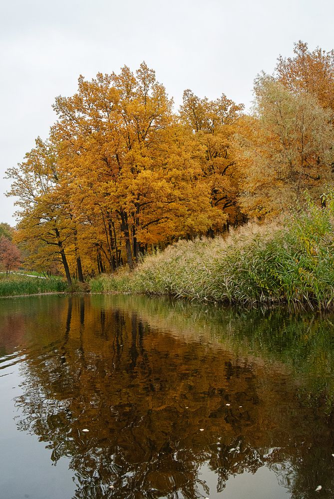 Photograph by Михаил Фенелонов