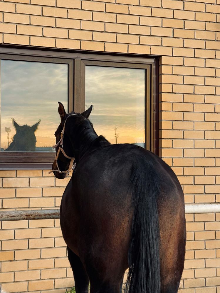 Photograph by Диана Гювенч