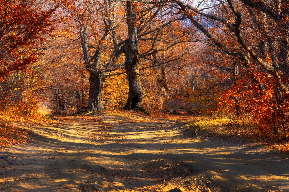 Photograph by Сергей Абашкин