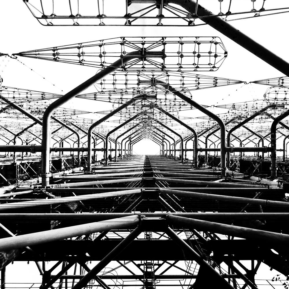 Photograph by Елена Николаева