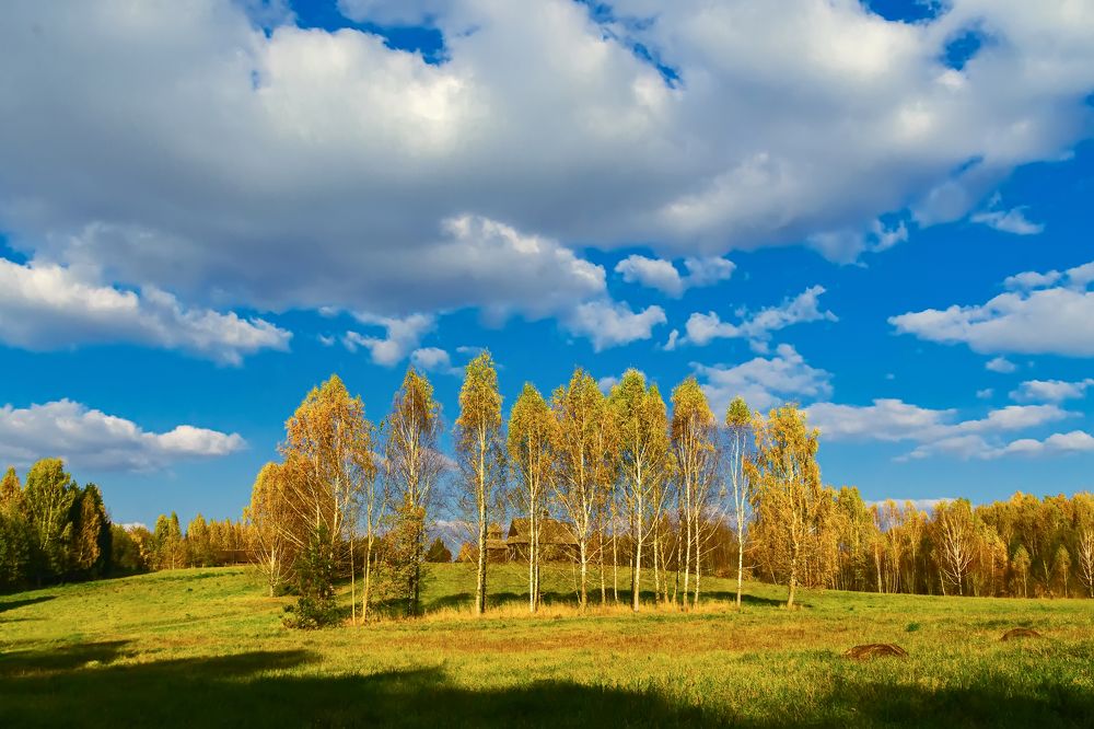 Погожий денёк