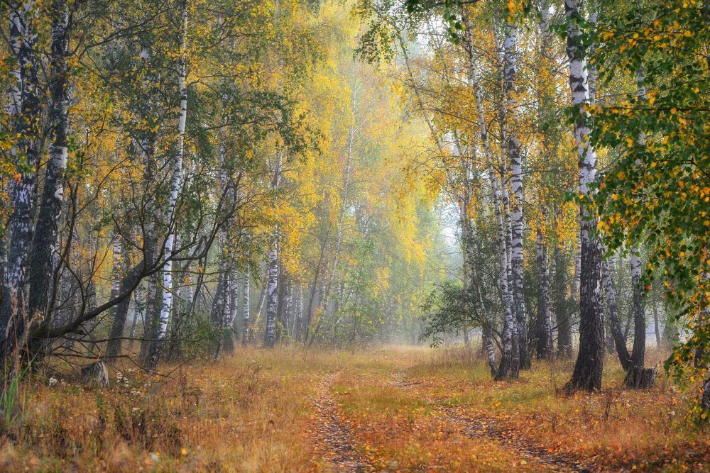 Photograph by Юлия Абрамова