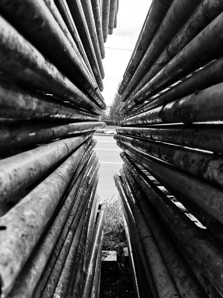 Photograph by Алена Мельниченко