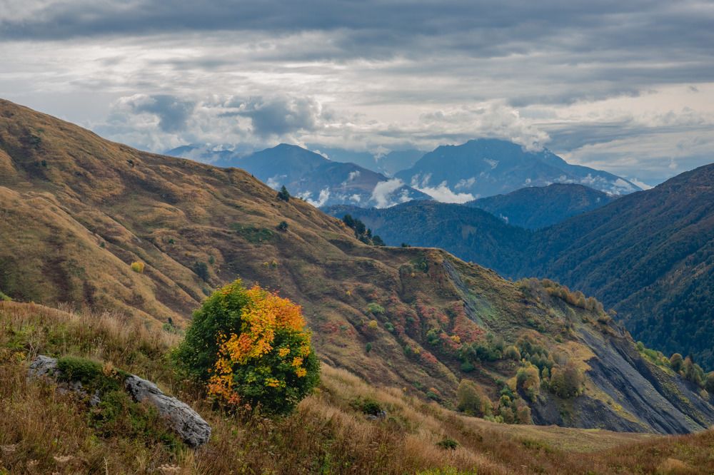 Photograph by Константин Шишкалов