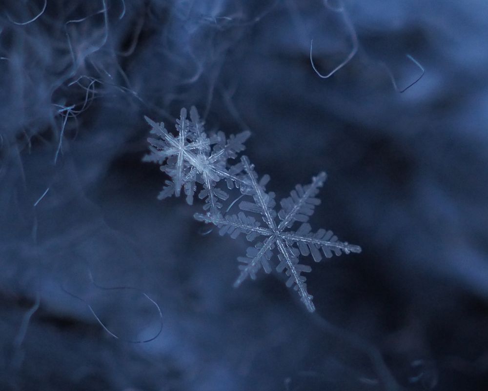 Photograph by Natalia Novikova