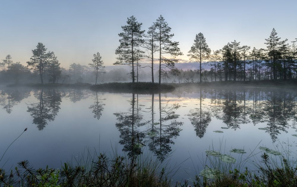 Photograph by Олег Иваницкий