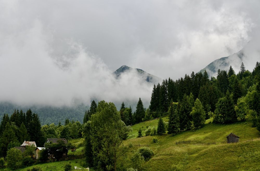 Photograph by Наталья Пирогова