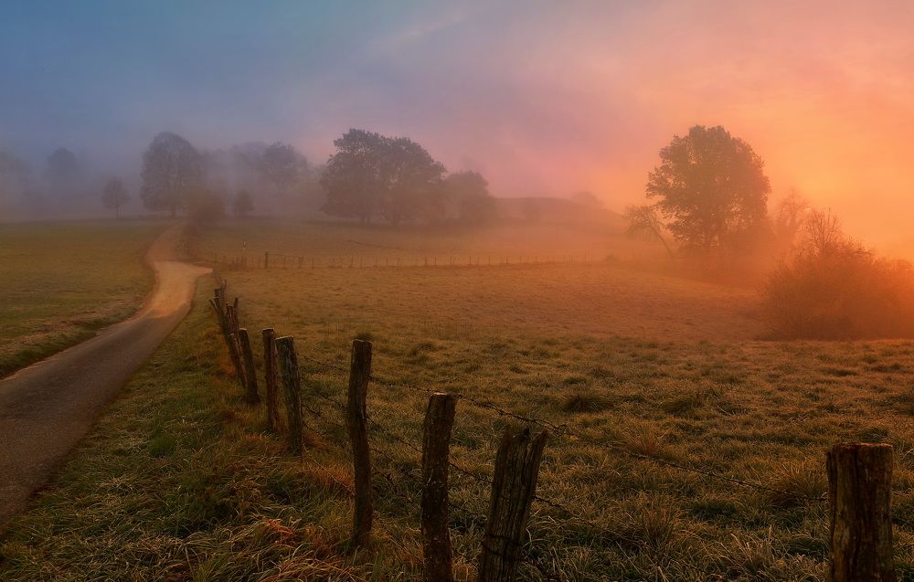 misty sunrise