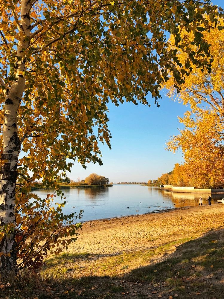 Photograph by Диана Гювенч