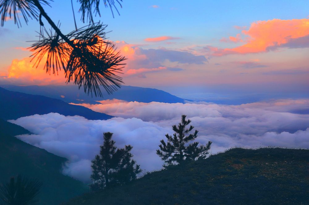 Photograph by Роман Микрюков