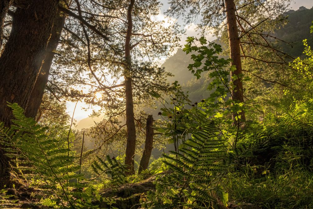 Photograph by Александр Дудников