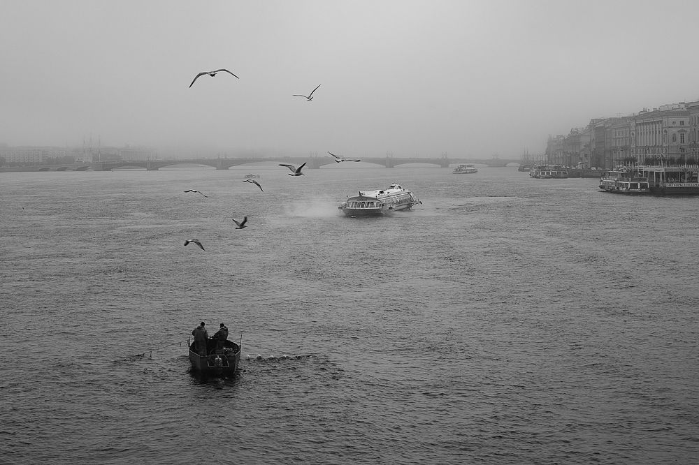 Photograph by ирина лебедева