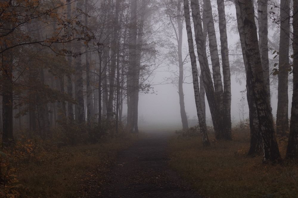 Photograph by ирина лебедева