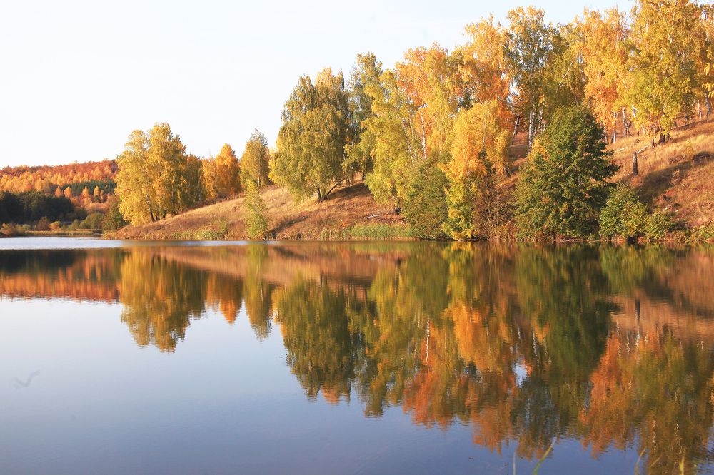 Фотография автора Рамиль Фаттахов