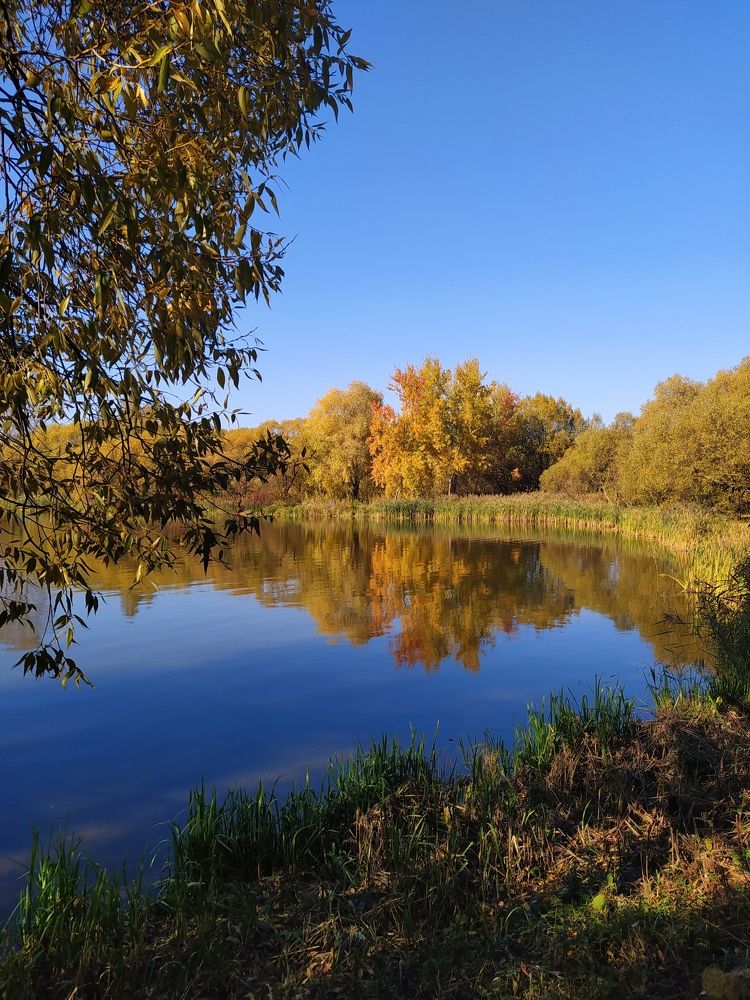 Photograph by Юлия Кулиева