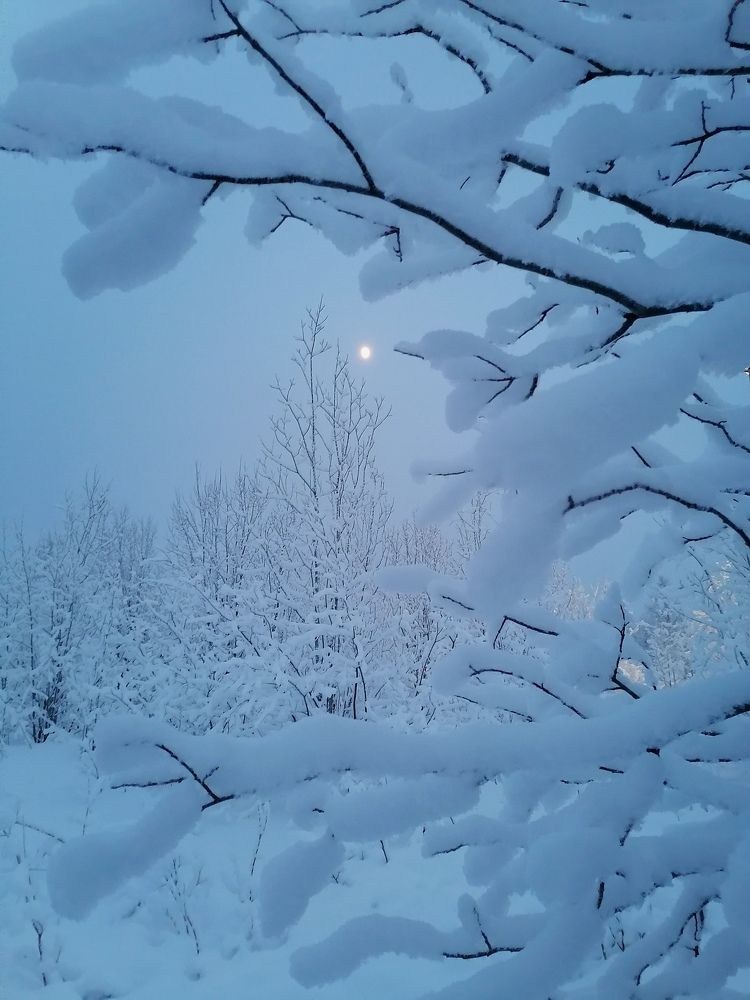 Photograph by Ирина Кортюкова