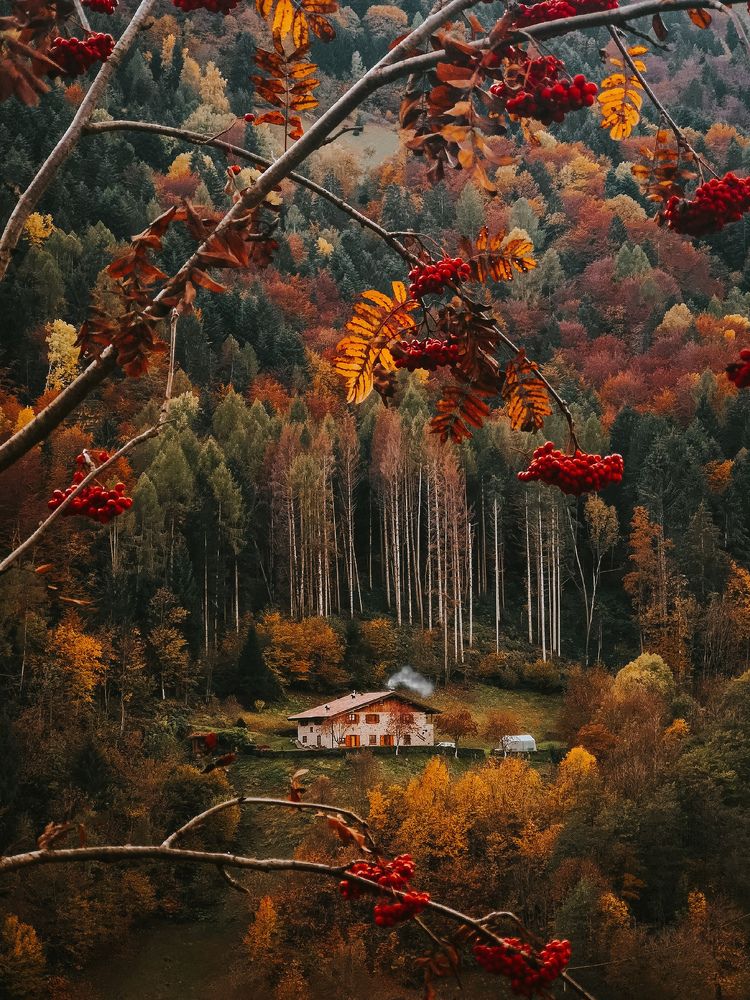 Autumn in Val Dorizzo