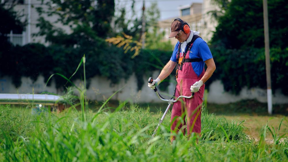 Photograph by Константин Тимонин