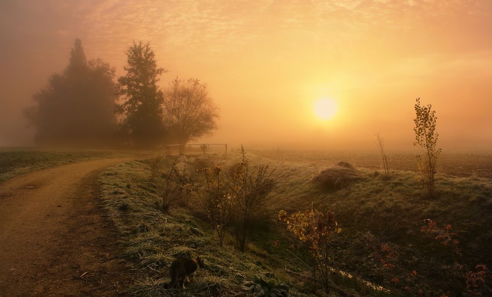 Photograph by Elena Wymann