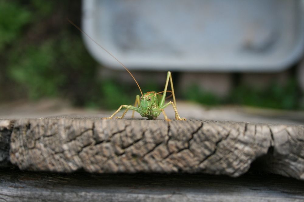 Фотография автора Марат Тагиров