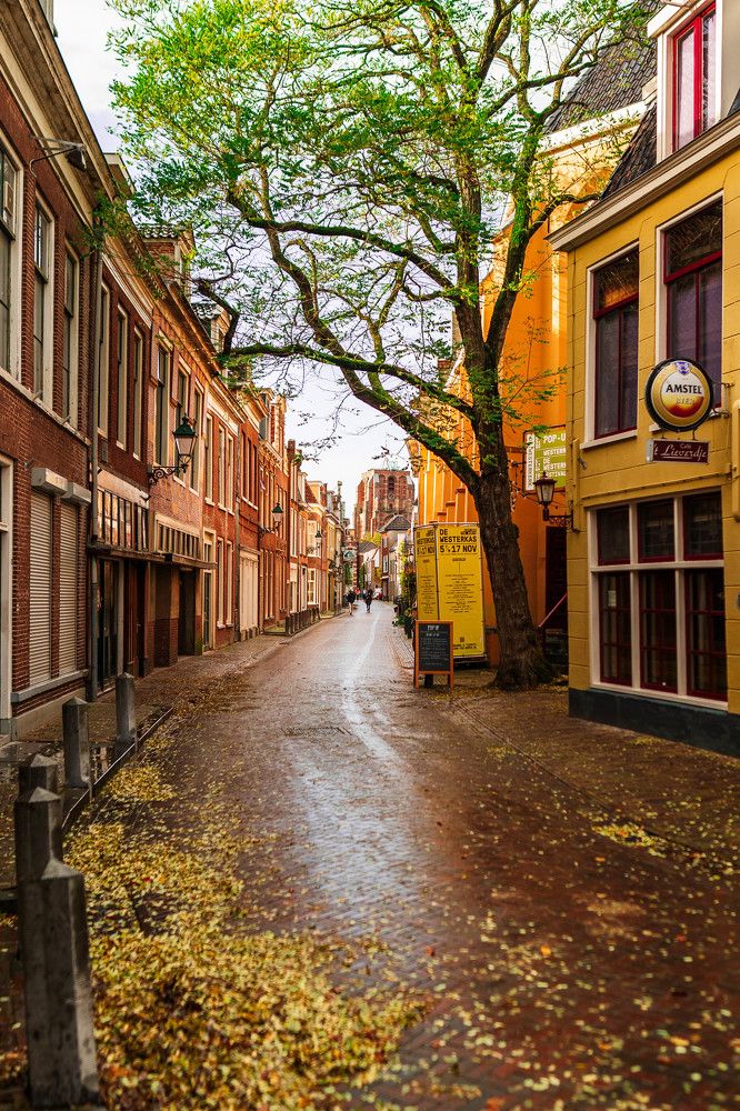 Photograph by Максим Корнаков