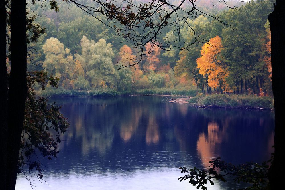 Photograph by Veronika Pershyna