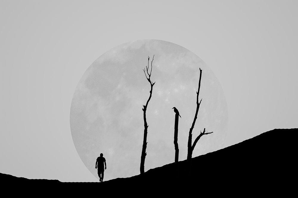 Photograph by Ebrahim Rahiminezhad