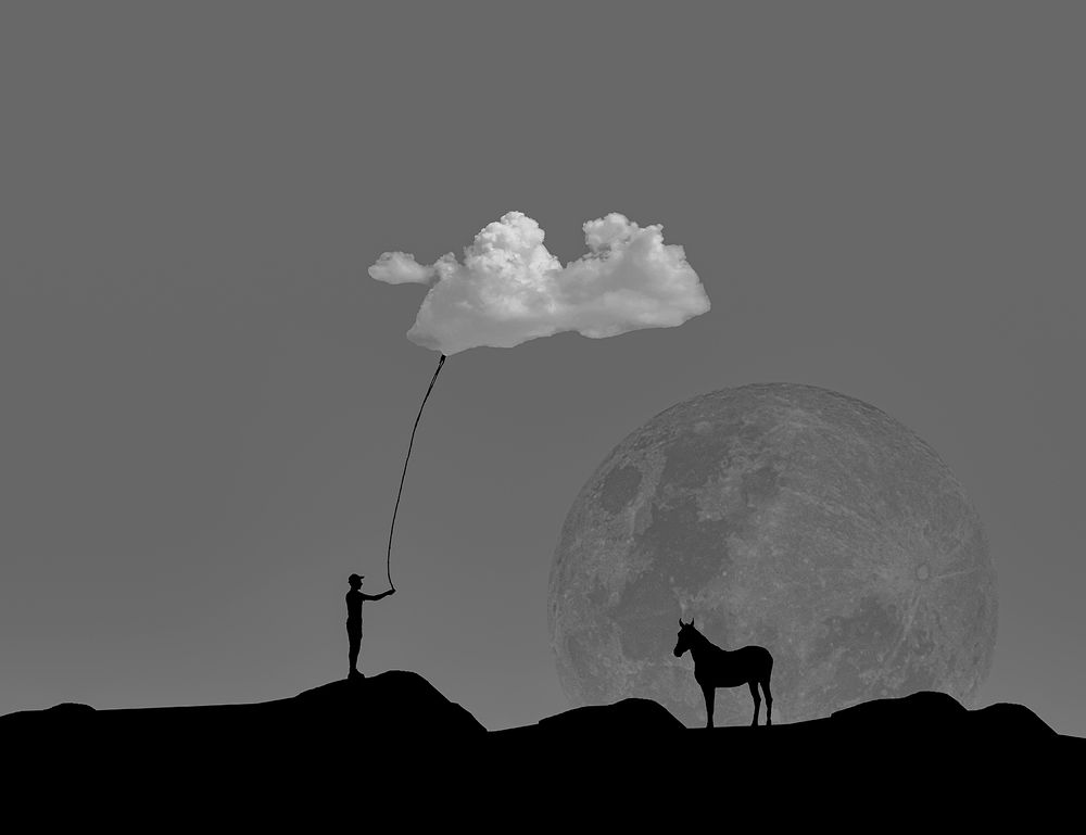 Photograph by Ebrahim Rahiminezhad