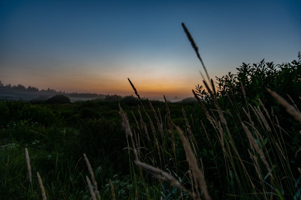 Фотография автора Макшанов Михаил