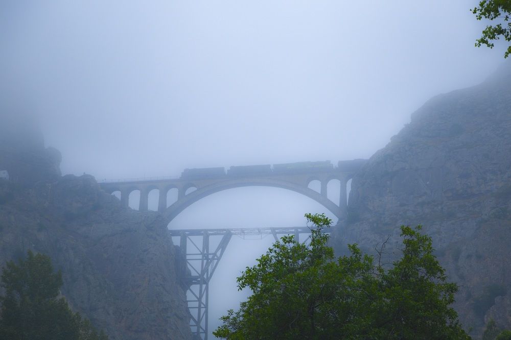 Photograph by alireza haji Akhondian