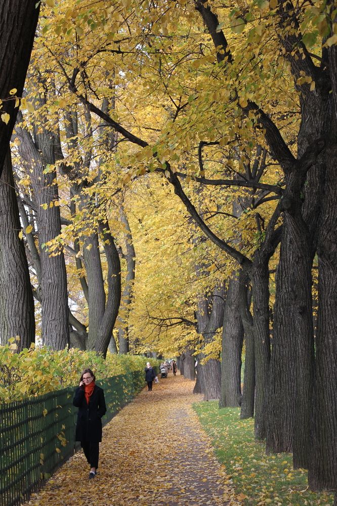 Photograph by Валентина