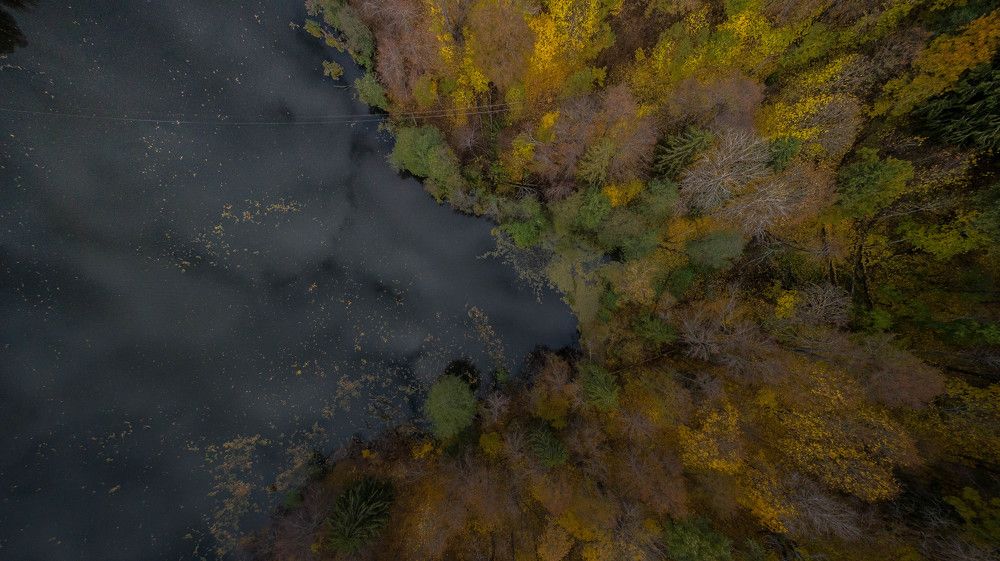 Photograph by Владислав Лопатов