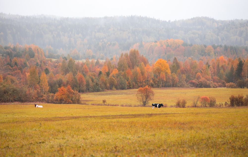 Фотография автора Anna