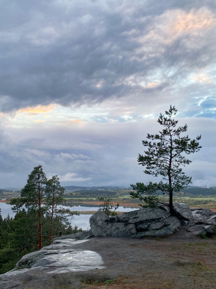 Фотография автора Anna