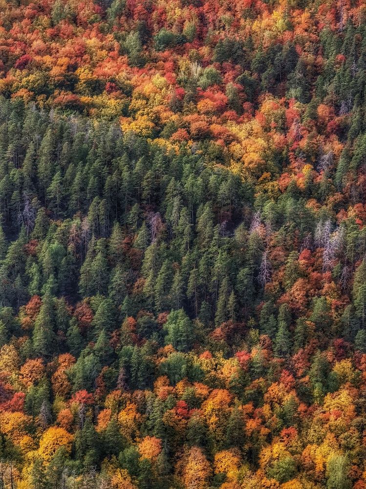 Photograph by Денис Сухов