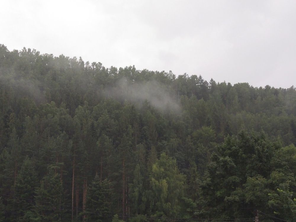 Photograph by Екатерина Солошенко