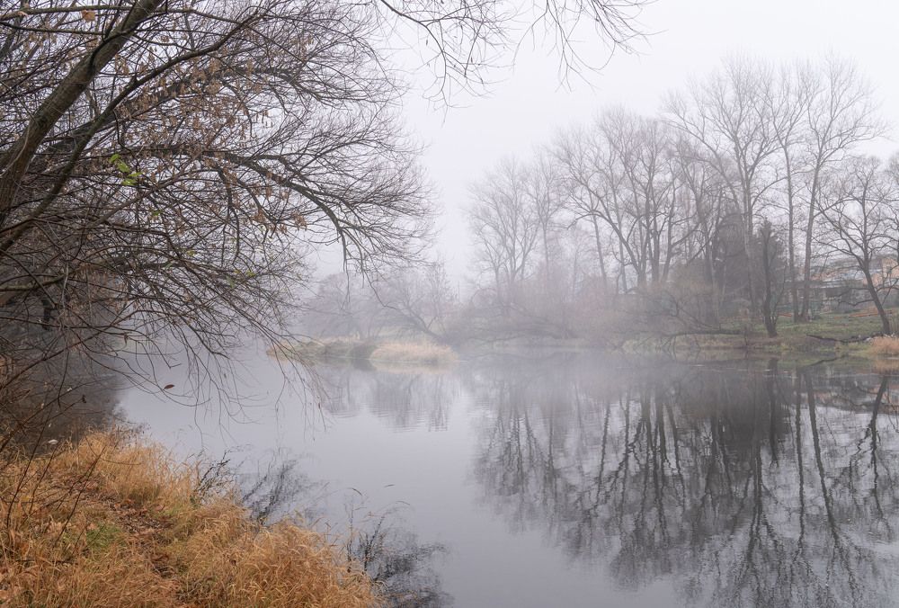 Photograph by Алена Устинович