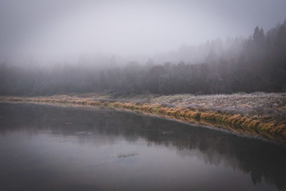 Photograph by Галина Баранова