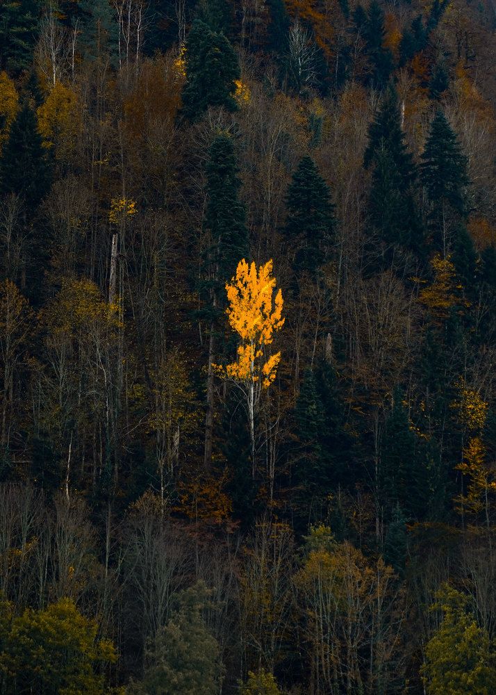 Photograph by Ксения Рыбцова