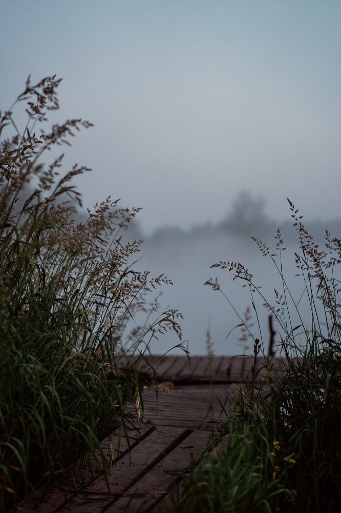 Photograph by Юлия Ефимова