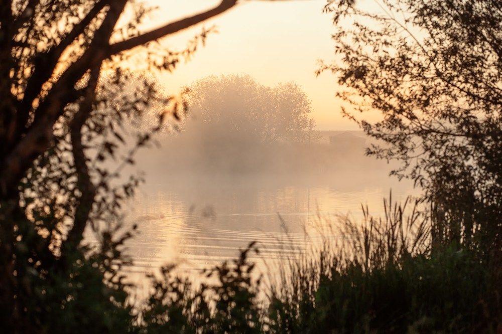 Photograph by Юлия Ефимова