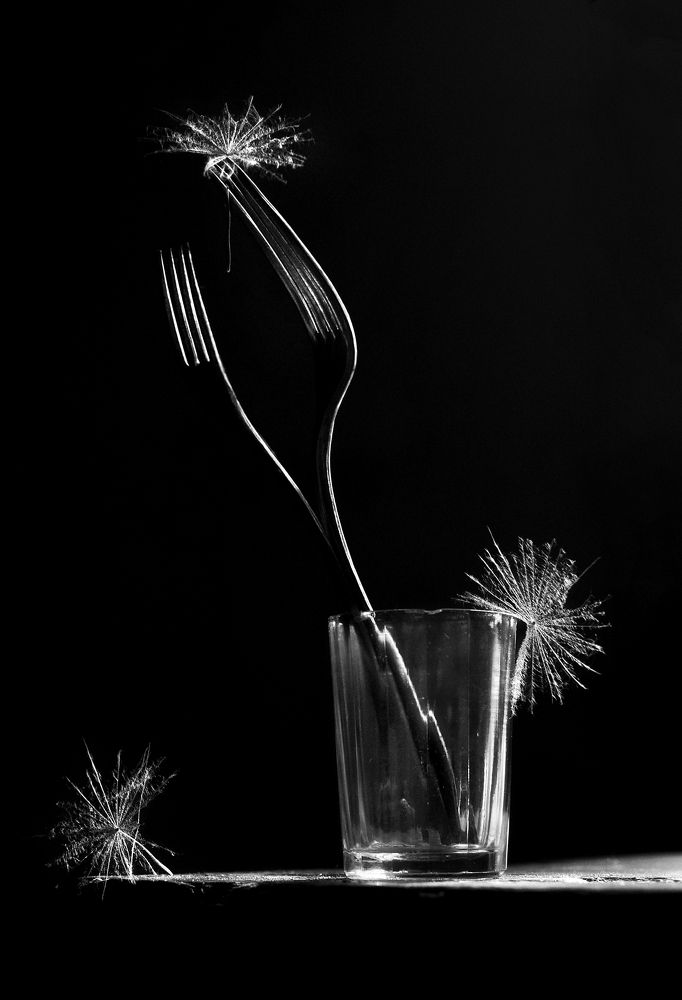 Photograph by Инна Буглак