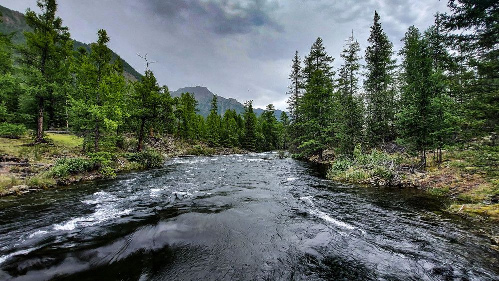 Photograph by Михаил Кувшинов