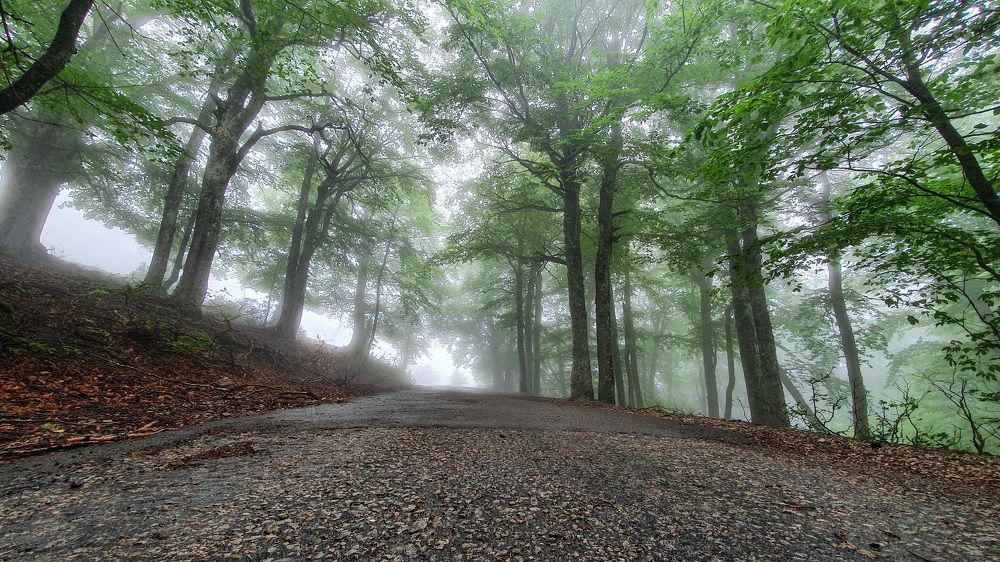 Photograph by Виктория Сметанина