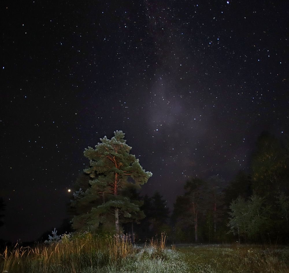 Photograph by Олег Фокин